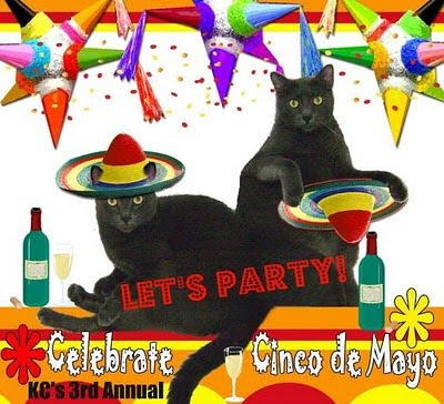 cinco de mayo invitations. cinco de mayo party invitations. Happy Cinco de Mayo from Your; Happy Cinco de Mayo from Your. oneighturbo. Sep 14, 12:37 PM
