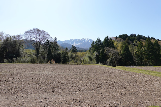 鳥取県西伯郡大山町鈑戸 大山の眺望