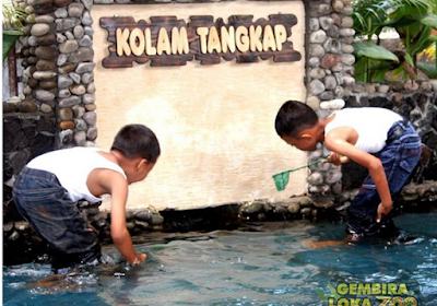 menangkap ikan di kolam tangkap  kebun binatang gembira loka yogya