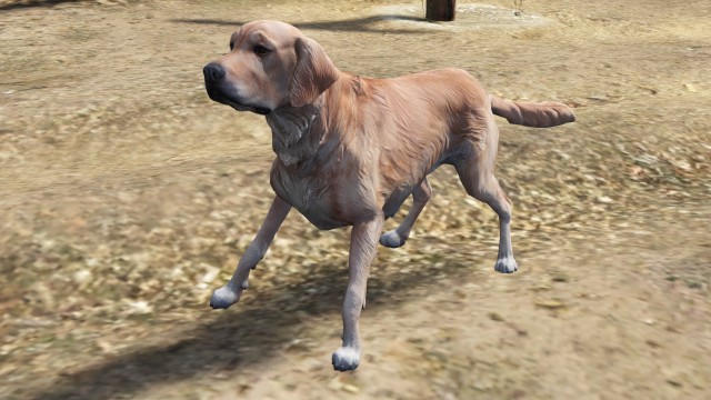 Gta5 ロスサントス人物名鑑 ドムを助けた犬 Gta5 ロスサントス人物名鑑 ドムを助けた犬