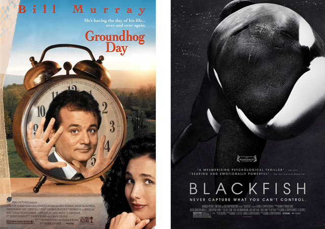 Groundhog Day Blackfish