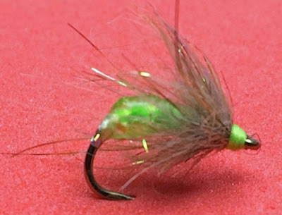 Lightbulb Caddis