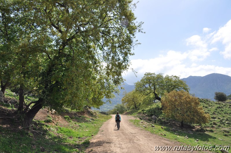 Llanos del Campo - Tesorillo - Cerro del Granadillo - Cerro de las Cuevas - Llanos del Berral