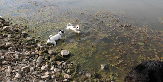 Thelma and Louise paddle