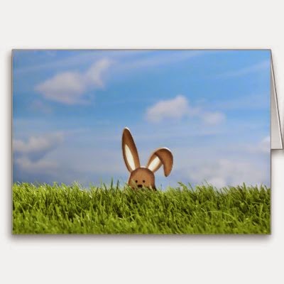 Easter Bunny in the Meadow - Fun Easter Greeting Card