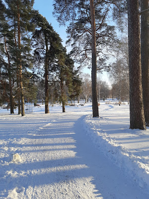 Luminen kävelytie murkittelee puiden keskellä