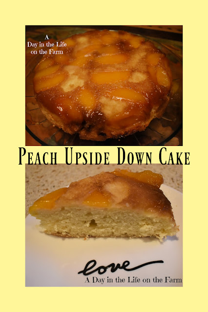 Peach Upside Down Cake pin