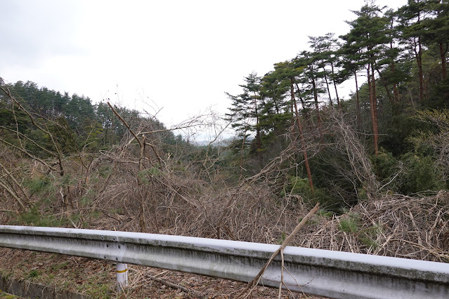 鳥取県米子市淀江町本宮 稲吉本宮線の農道からの眺め