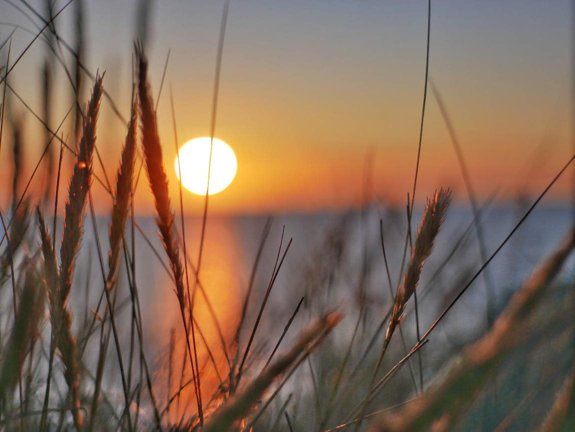 Läsö Sonnenuntergang