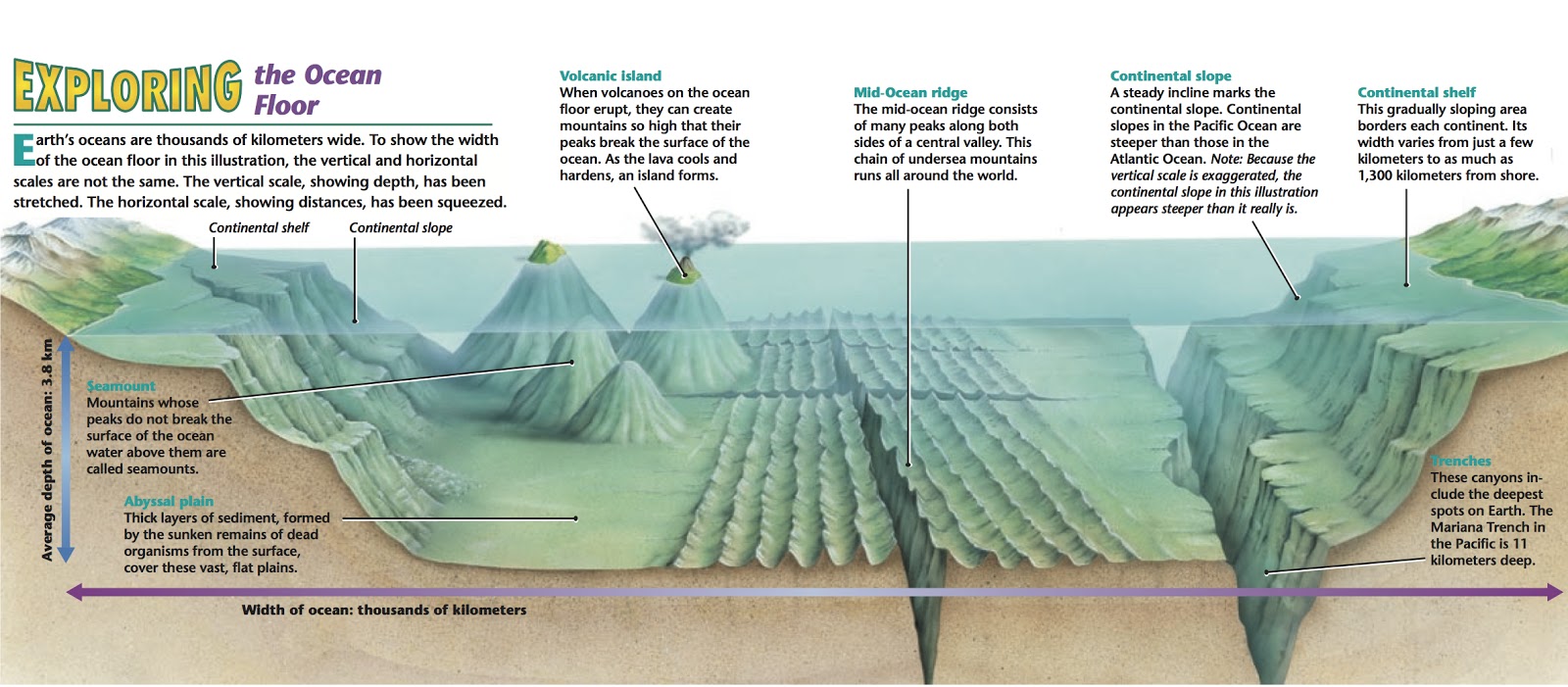 Ocean Floor - Lessons - Tes Teach multiplication, grade worksheets, learning, alphabet worksheets, and worksheets Topography Worksheets 701 x 1600