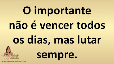 O importante não é vencer todos os dias, mas lutar sempre.