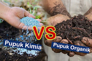 Pupuk kimia vs Pupuk Organik