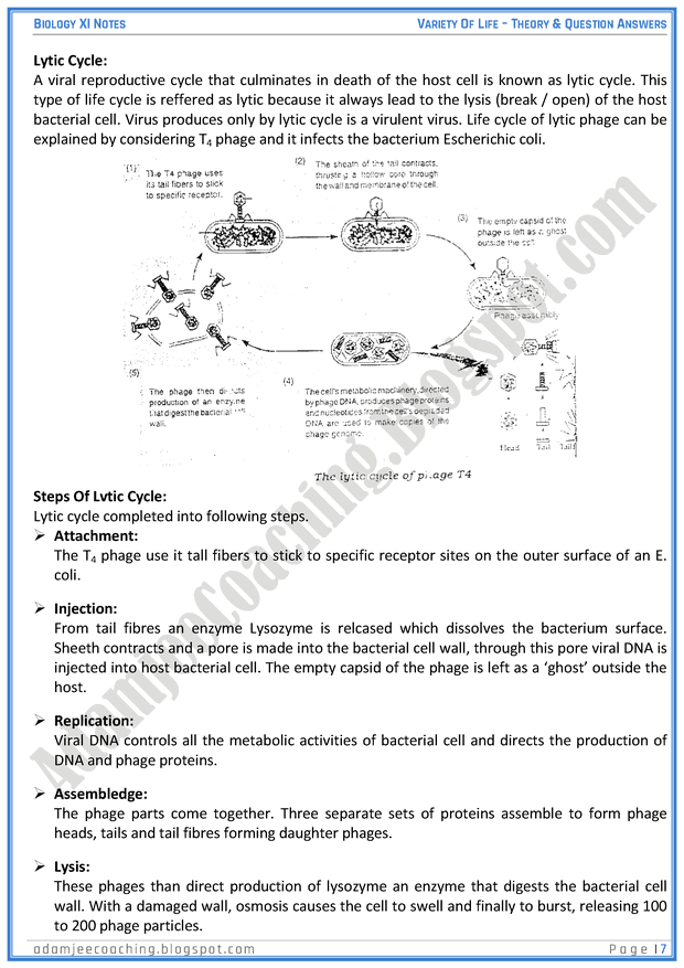 variety-of-life-descriptive-question-answers-biology-11th