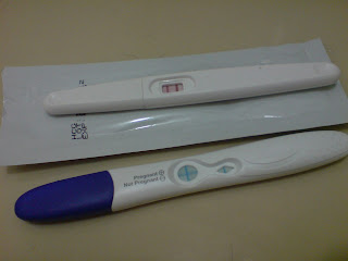 the hoonters place: Instructions for the Midstream pregnancy test