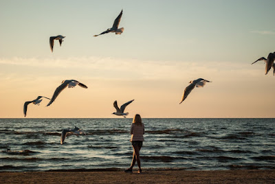 Immagine di una donna in riva al mare circondata da gabbiani in volo