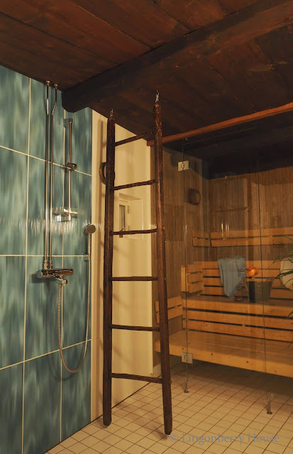 lingonberryhouse, sauna, koti, home, bathroom, shower, suihku