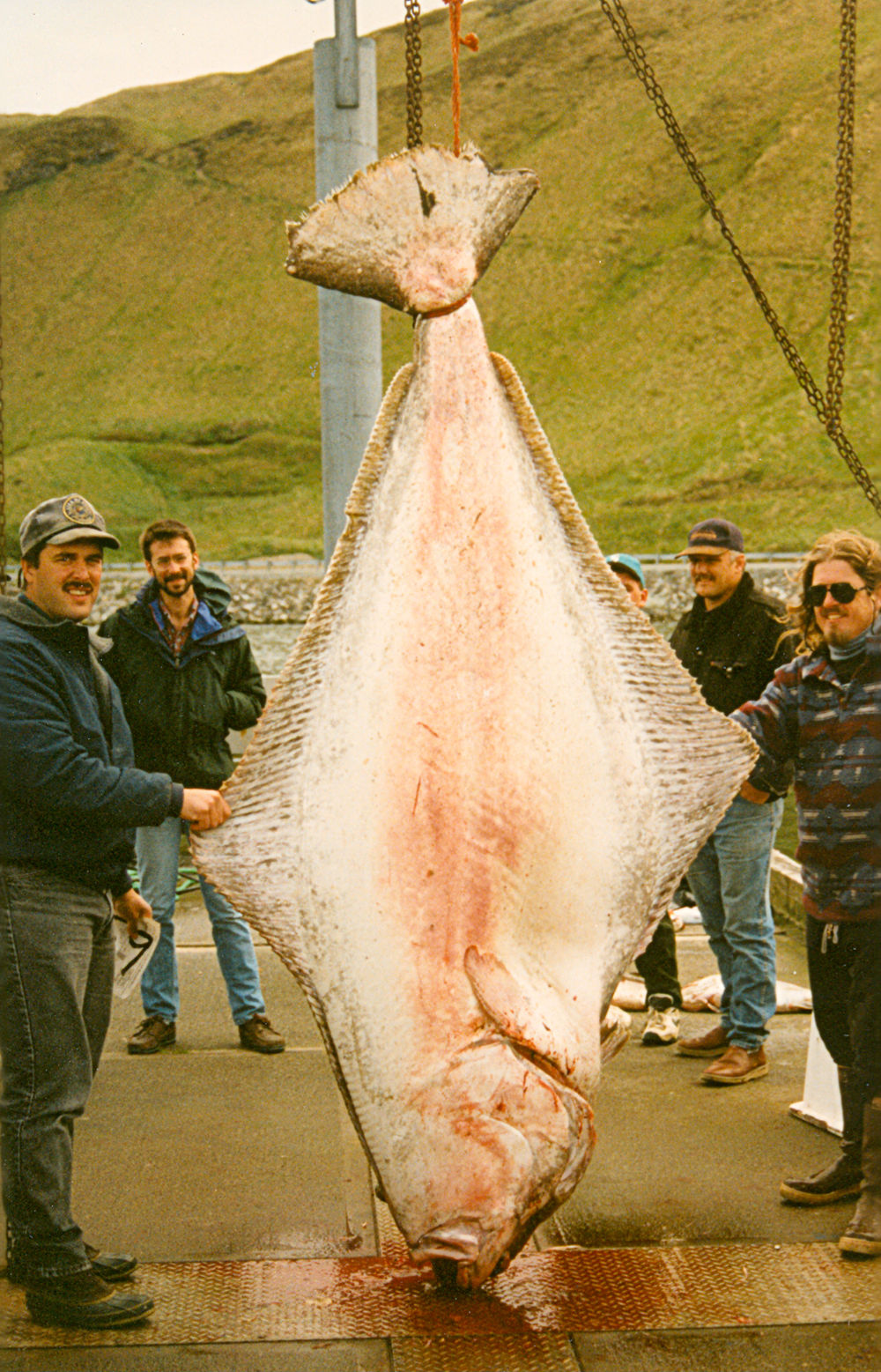 International Fishing News: VIDEO: World's Biggest Record Fish ever Caught  with Rod and Line