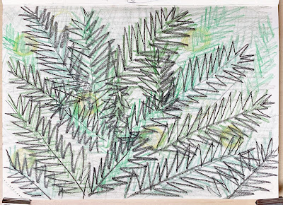 Fir Leaves and Lights Sketch