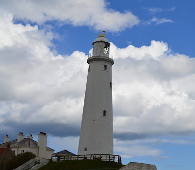 An Easy 4 Mile Coastal Walk - Whitley Bay to St Mary's Island (plus a Seal sighting)