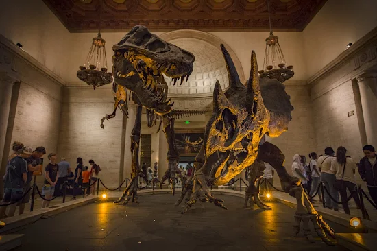 Natural History Museum Los Angeles