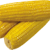 Mısır png indir , corn png image