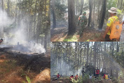1,5 Hektar Hutan Terbakar di Buntudatu Mengkendek Tana Toraja 