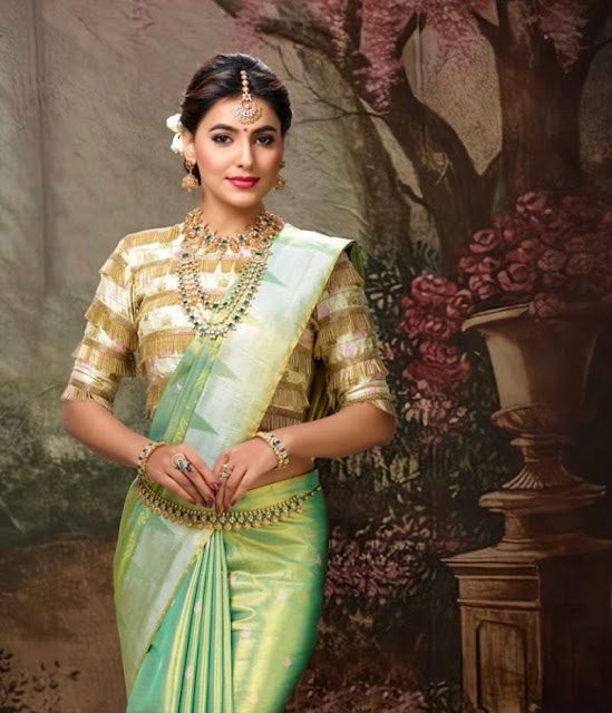 get Designer look to your old sarees