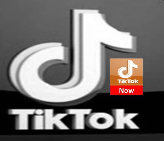 TikTok announces to Launch a mini TikTok App with the name Tik Tok Now