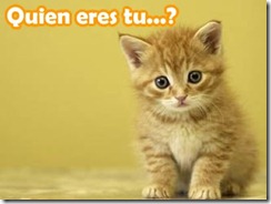 gatito-pregunta