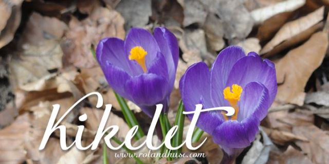 Kikelet Free Font