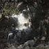 Darkenhöld – Memoria Sylvarum