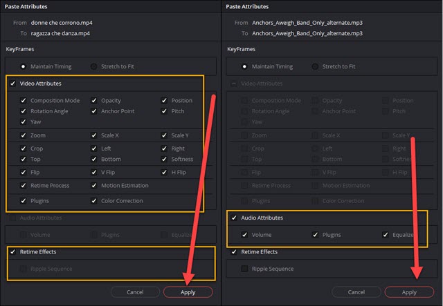 incollare gli attributi in davinci resolve