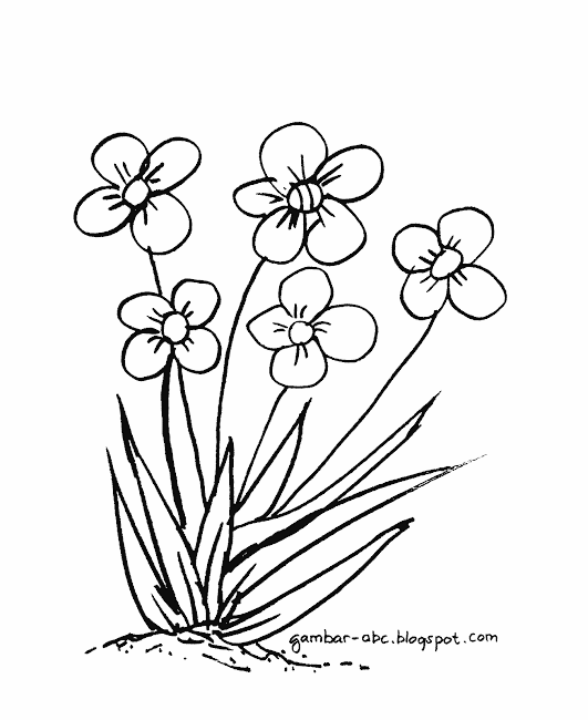 Gambar Mewarnai Bunga Rumput Contoh Gambar Hitam Putih di Gambar Mewarnai Bunga Rumput Contoh Gambar Hitam Putih di