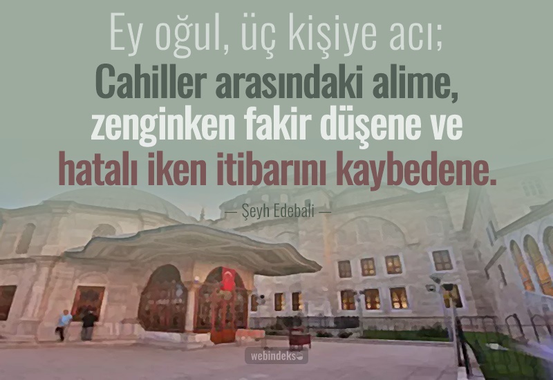 Cahillik İle İlgili Sözler, Resimli Kısa ve Uzun Cehalet Sözleri - Şu üç kişiye acı, cahiller arasındaki alime, zengin iken fakir düşene, hatırlı iken itibarını kaybedene. Şeyh Edebali