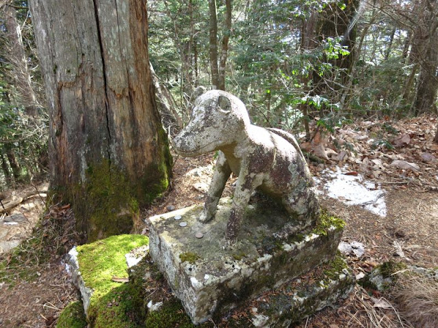 両神神社の狼型狛犬その２