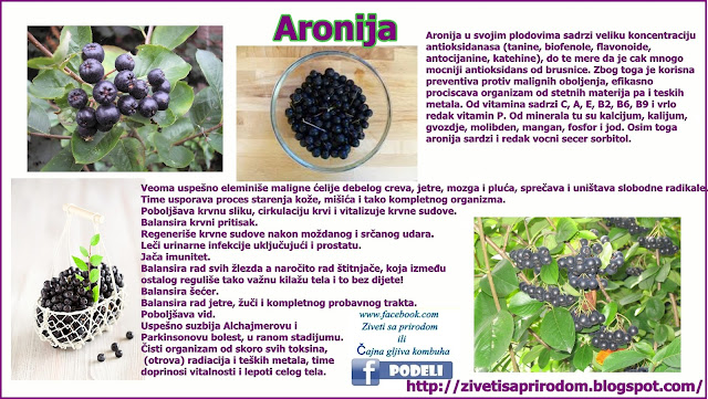 Aronija