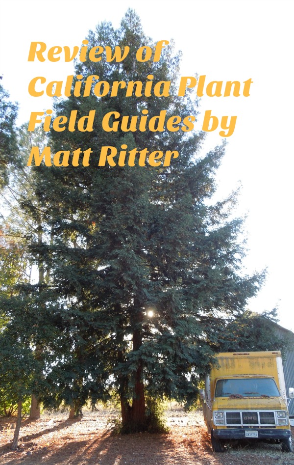 Review of California Plant Field Guides by Matt Ritter