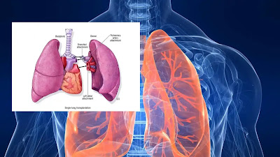 What Is a Pulmonary Function Test
