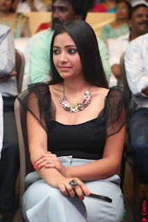 Swetha Basu in a Black Sleeveless Top Long Skirt at Mixture Potlam Movie Audio Launch 028.JPG