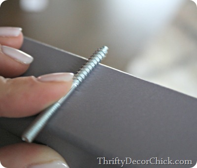 double ended screw