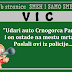 VIC: "Udari auto Crnogorca Pantu i on ostade na mestu mrtav. Poslali ovi iz policije..."