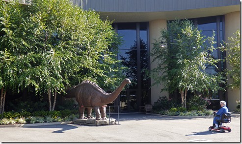 Creation Museum