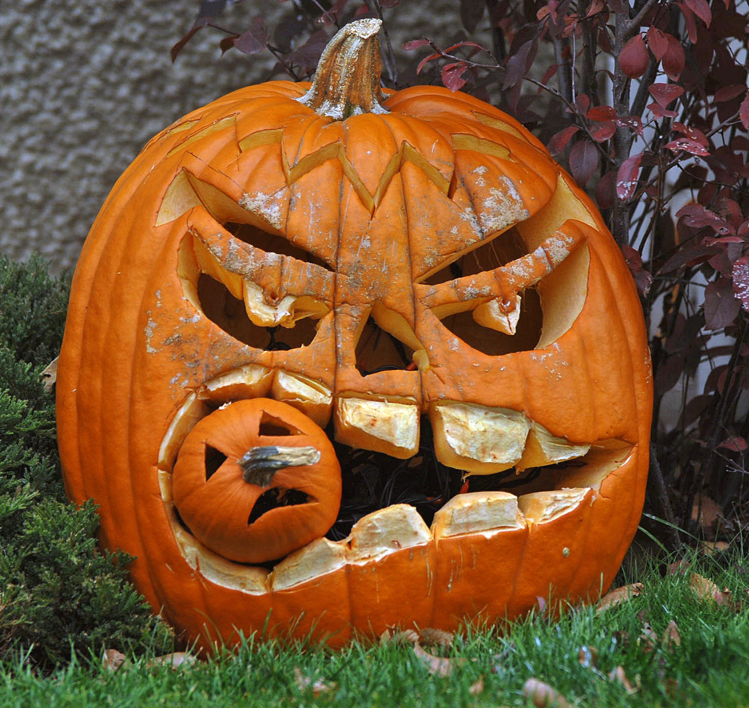 funny pumpkin