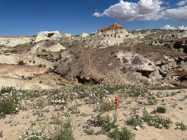Grand Staircase-Escalante National Monument