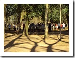 dia_dos_pais_2011_escola_padre_julio_maria (8)