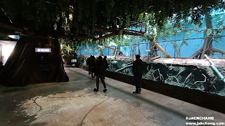 Taoyuan Qingpu | Xpark Aquarium | The largest indoor aquarium in northern Taiwan