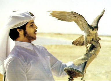 Qatar falcons