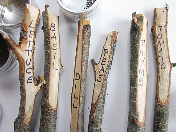 sticks with herb names