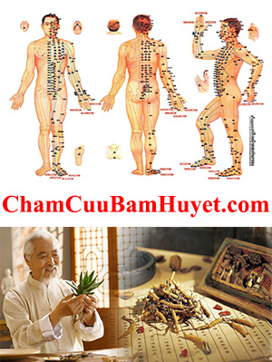 ChamCuuBamHuyet.com