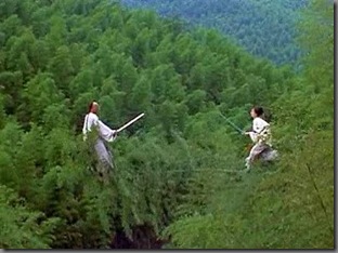 crouching tiger hidden dragon wirefu forest